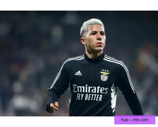 恩佐从河床转会本菲卡后在欧洲赛场闪耀崭露头角引关注