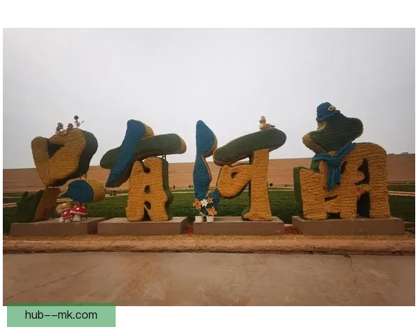 河南俱乐部宣布新赛季启用全新设计球队徽标彰显团队文化与未来愿景