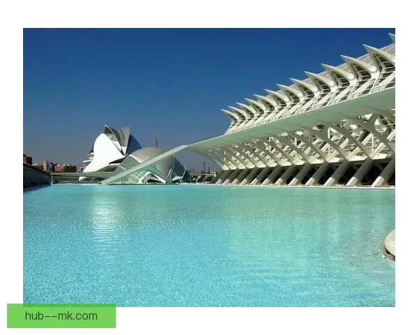 马马达什维利返租瓦伦西亚策略与区域经济发展研究